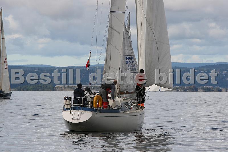 Hollenderseilasen _4.jpg